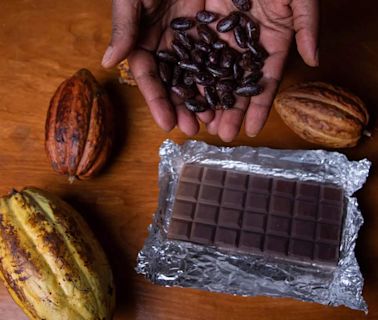 Nestle's chocolate prices in focus as cocoa costs bite