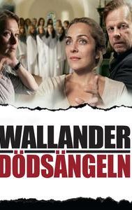 Wallander - Skytten