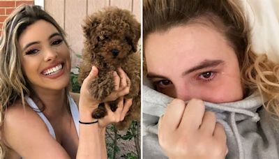 Lele Pons sufre mordida de un pitbull “tan fuerte” por evitar que atacara a su perrito Toby