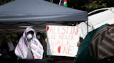 UC Davis students share support for pro-Palestinian encampments - The Aggie