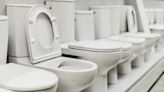 10 Types of Toilets and How to Choose the Best One