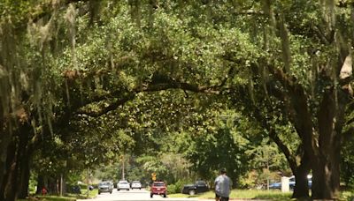 This affluent Wilmington neighborhood's first homes date back nearly 100 years