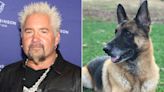 Guy Fieri Shares News of Dog's Death the Day Before His Birthday: 'Today Is the Saddest Day'