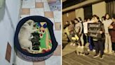 Mujer que habría enterrado viva a perrita preñada en SJL tenía 7 mascotas más en estado de desnutrición total