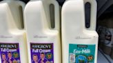 Seaweed-fed 'eco-milk' hits shelves, reducing cow methane emissions