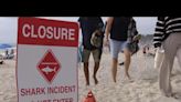 Calif. swimmers, lifeguards use tourniquet to save shark bite victim