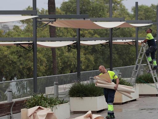 La maldición del Paseo Marqués de Contadero en Sevilla: ni con sol ni con viento