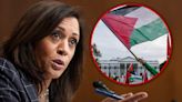 VP Kamala Harris' 'Kimmel' Interview Interrupted by Palestine Protesters