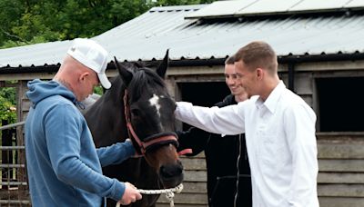 Could therapy horses be the solution to Britain’s prison crisis?