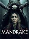 Mandrake