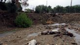 The cost of damage from the record floods in Greece's breadbasket is estimated to be in the billions