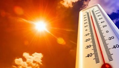 Sixteen including 12 on poll duty die of suspected heatstroke in UP