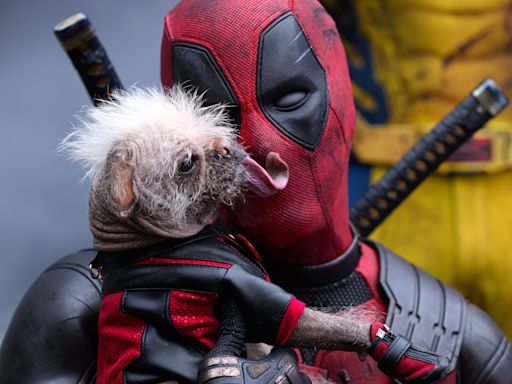 Where does 'Deadpool & Wolverine' rank among all 34 Marvel movies?