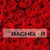 The Bachelor