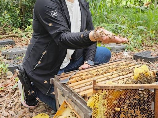 巾幗不讓鬚眉！康眉香接棒父親養蜂產業 獲選百大青農