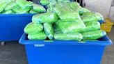 12,000 Pounds Of Meth Worth $18M Found In 1400 Boxes Of Squash At Mexico Border Thanks To Drug-Sniffing Dogs