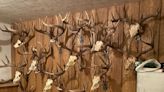 Fourteen Trophy Deer Heads Stolen from Canadian Hunter's Cabin