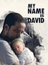 My Name Is David