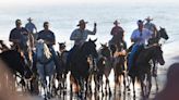 Perspective: Western rangelands are overpopulated with wild horses. The East can help