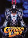 Groom Lake (film)