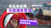 跟漁民出海 直擊捕魚實況即買即食 南區導賞團挽救息微漁業