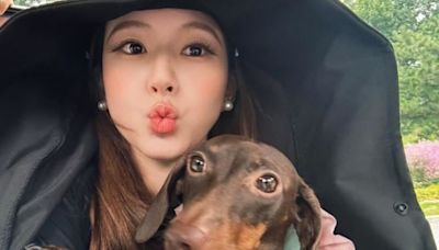 趙露思出國「2愛犬跟著飛」被罵翻！真相逆轉了