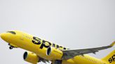 Spirit Airlines reportedly fired an employee who put a 6-year-old boy traveling alone for Christmas on the wrong flight
