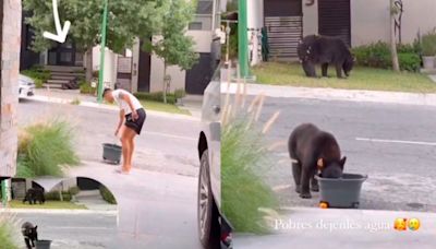 Maxi Meza arriesga la vida para darle agua a osos en Monterrey