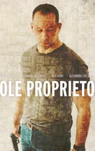 Sole Proprietor