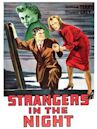 Strangers in the Night (film)