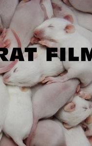 Rat Film