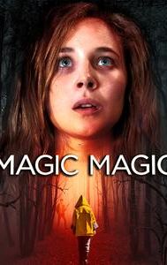 Magic Magic (2013 film)