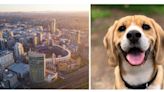 San Diego: El lugar ideal para los amantes de los perros