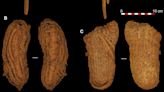 These 6,000-year-old sandals found in a Spanish cave are Europe’s oldest shoes