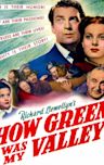 How Green Was My Valley (film)