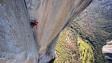 Renowned climber Alex Honnold explains why he is giving away one third of his income: ‘It all started sitting in the back of a van’