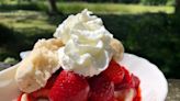 Strawberry socials, festivals, markets: Find fresh strawberries in the Fall River area