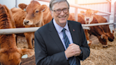 'The Takeover Of The Food System Began With The Rockefellers And Was Advanced By Bill Gates,' According To Investigative...