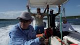 Cuban scientists hunt for clues to save coral reefs as ocean temperatures soar