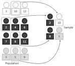 Stratified sampling