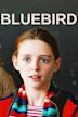 Bluebird (2004 film)