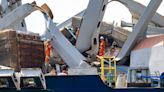Seamens unions cite Dali crew’s ’emotional distress’