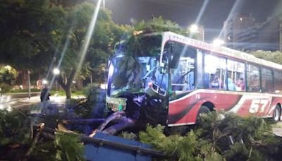 Fuerte choque entre dos colectivos en la 9 de julio: hay siete heridos