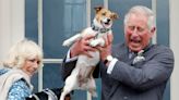 A history of royal dogs, from Queen Victoria to King Charles