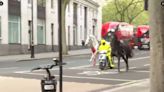 Vídeo: cavalo ensanguentado corre por Londres após ferir 5 pessoas