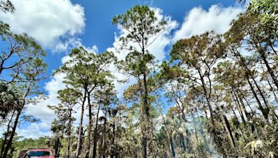 NWS Red Flag Warning over dry, windy, hot conditions; counties step up burn restrictions