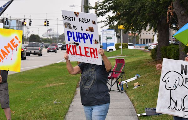 Gov. Kristi Noem draws crowds, protesters to Florida event amid backlash over dog killing