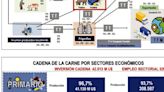 La Nación / La cadena de la carne y su peso en la economía social del país