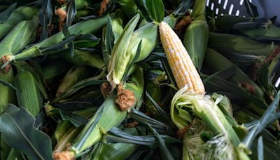 Crave some sweet corn on the grill? Here are three ways to cook sweet corn this summer.