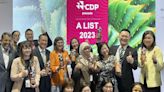 台灣唯一獲選城市 桃園獲碳揭露計畫（CDP）A級城市